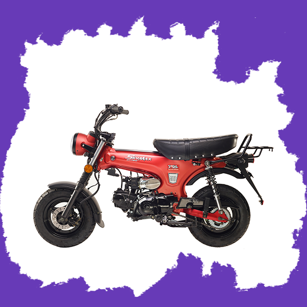 SkyTeam MotorCycle